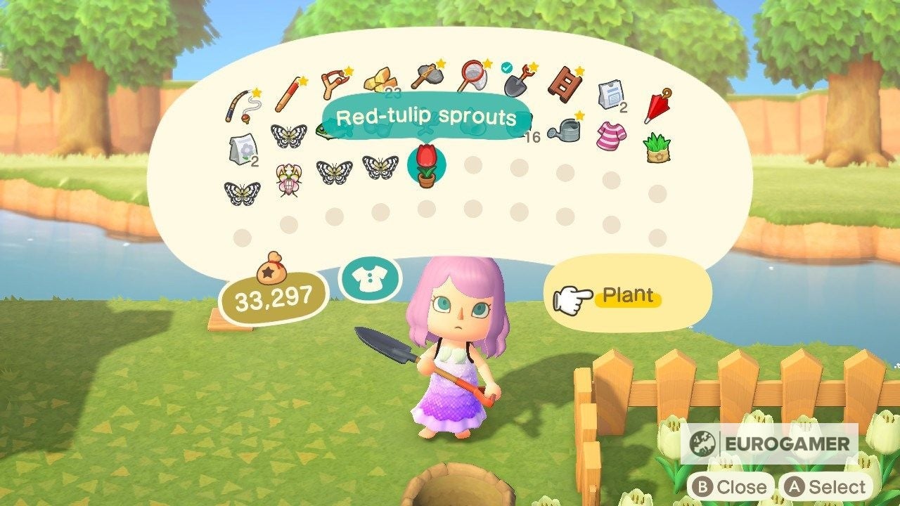 Animal Crossing Flowers Hybrids, crossbreeding and colour combinations